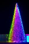 фото Набор освещения Хамелеон RGB для елок 29 м.