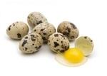 фото Яйца перепелов