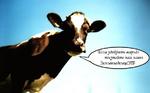 фото Навоз коровий от компании ЗемледелецСПб