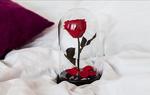 фото Долговечная роза в стеклянной колбе