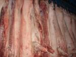 фото Мясо оптом свинины РФ 195 руб/кг с дост.