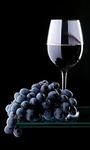 фото Винный виноград сорта Мерло